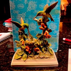 Rare Ruby-Throated hummingbirds by Andrea.